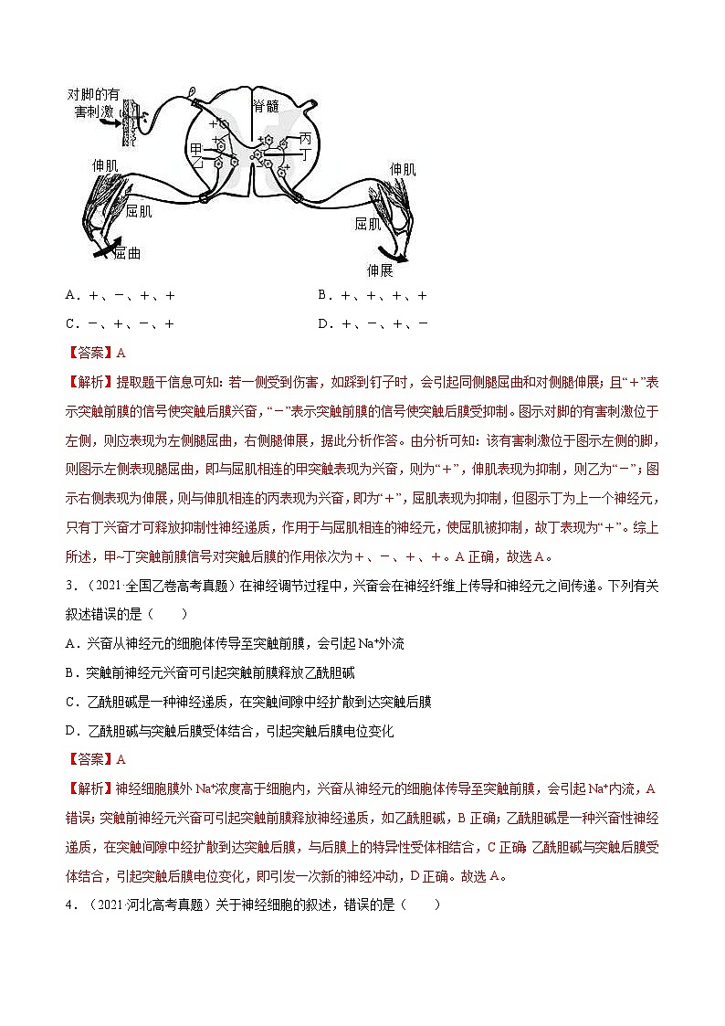 专题08 神经调节与体液调节-十年（2012-2021）高考生物真题分项汇编（全国通用）（教师版）02