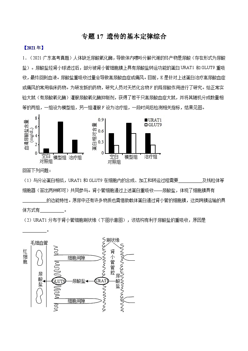 专题17 遗传的基本定律综合-十年（2012-2021）高考生物真题分项汇编（全国通用）（教师版）第1页