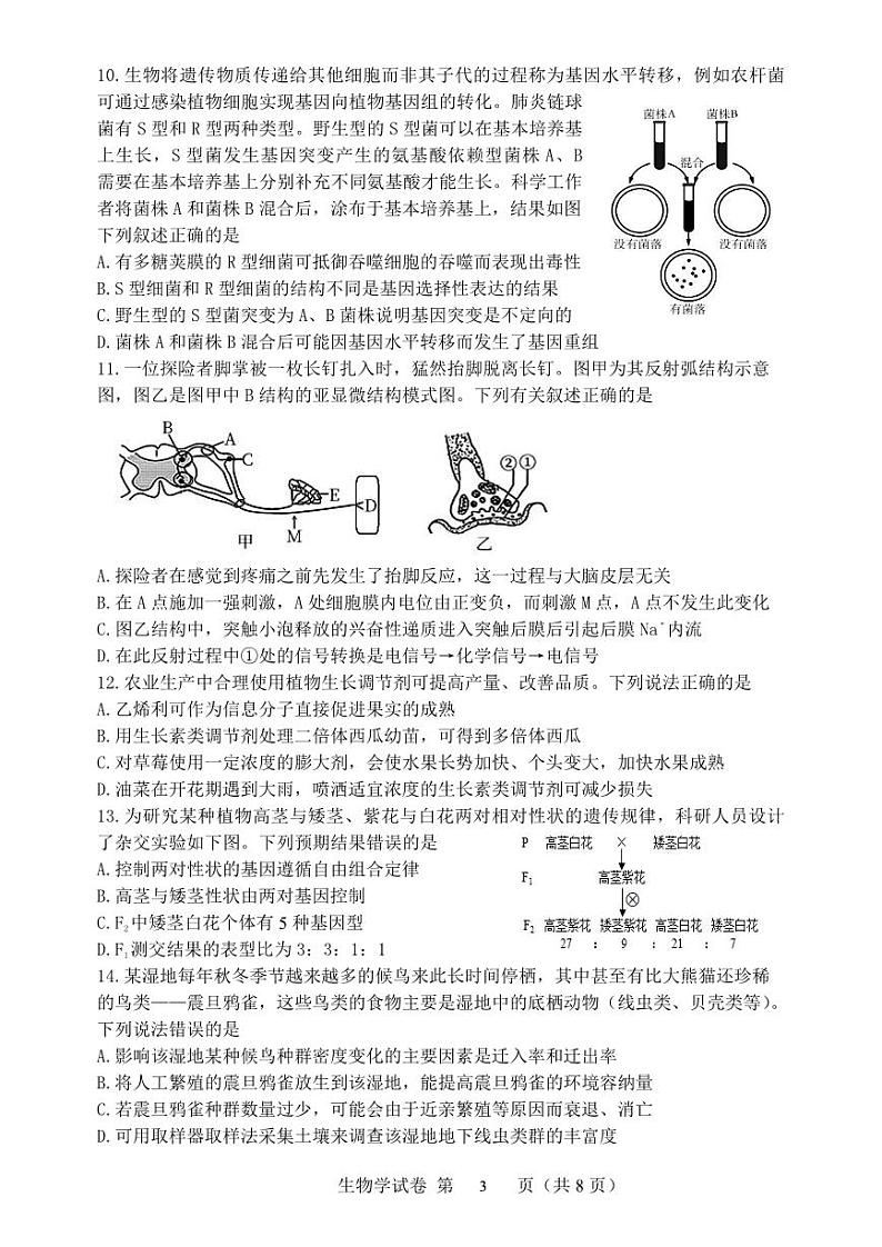 辽宁省丹东市2023届高三下学期总复习质量测试（二）生物二模试卷+答案03
