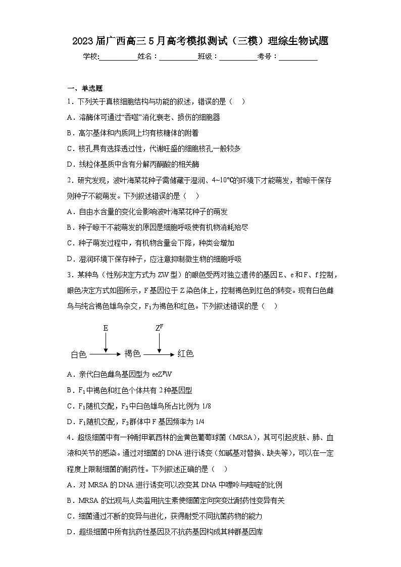 2023届广西高三5月高考模拟测试（三模）理综生物试题（含答案）01