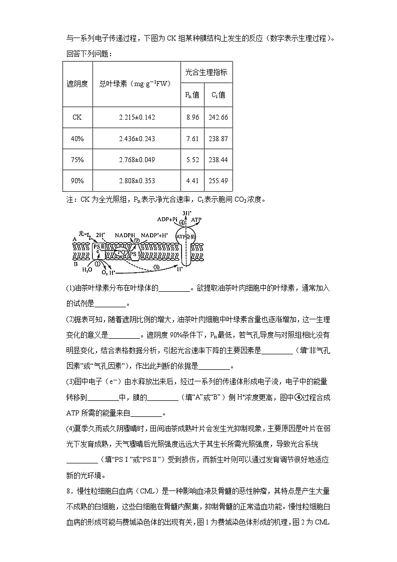 2023届广西高三5月高考模拟测试（三模）理综生物试题（含答案）03