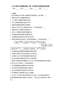 2023届四川省成都市高三第三次诊断考试理综生物试题（含答案）