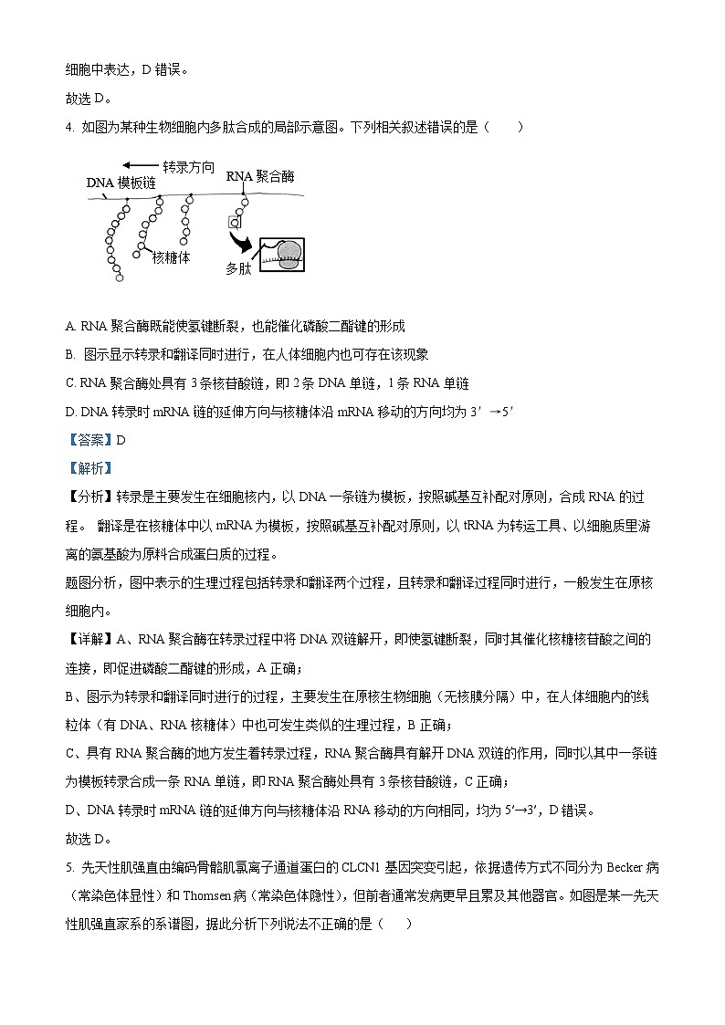 辽宁省协作校2022-2023学年高三下学期第一次模拟考试 生物 Word版答案03