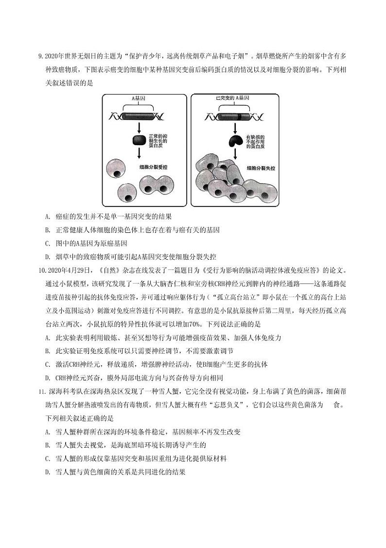 2021届河北省秦皇岛市高三下学期普通高等学校招生统一考试第二次模拟演练生物试题 PDF版03