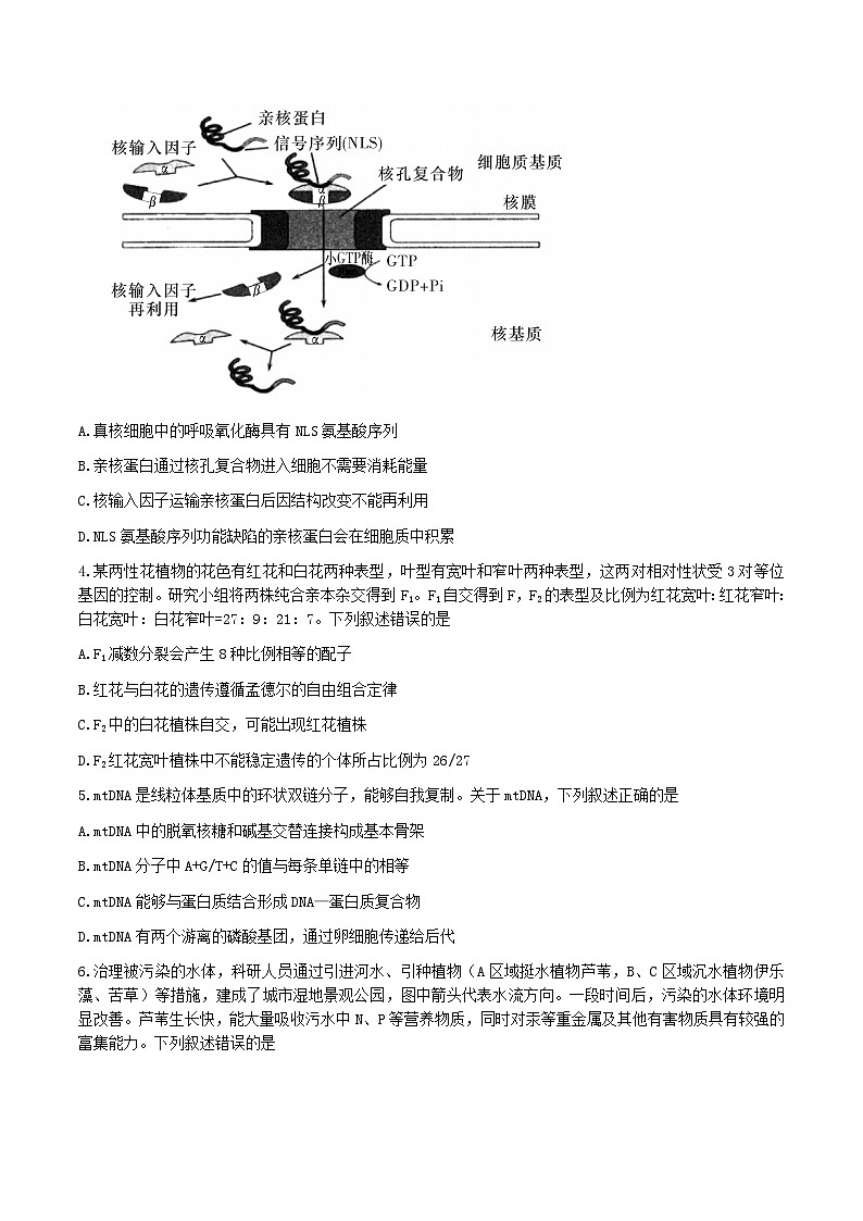 湖南省娄底市2023届高三第四次模拟考试生物试卷+答案02