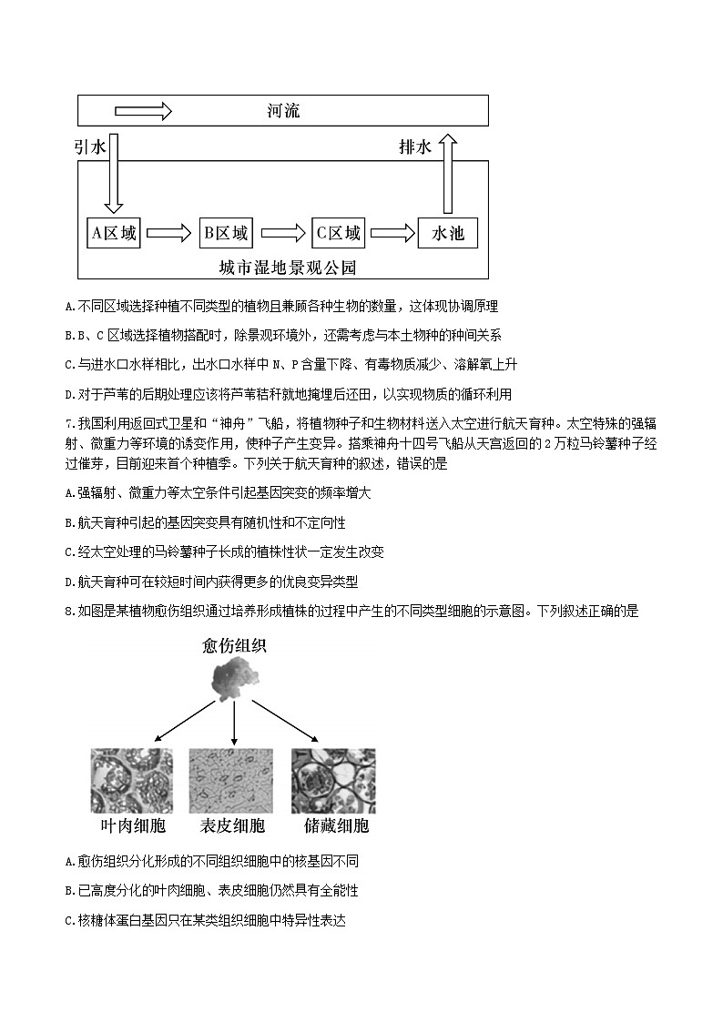 湖南省娄底市2023届高三第四次模拟考试生物试卷+答案03