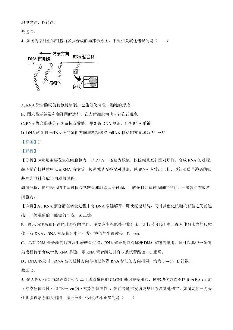 辽宁省协作校2022-2023学年高三下学期第一次模拟考试生物答案03