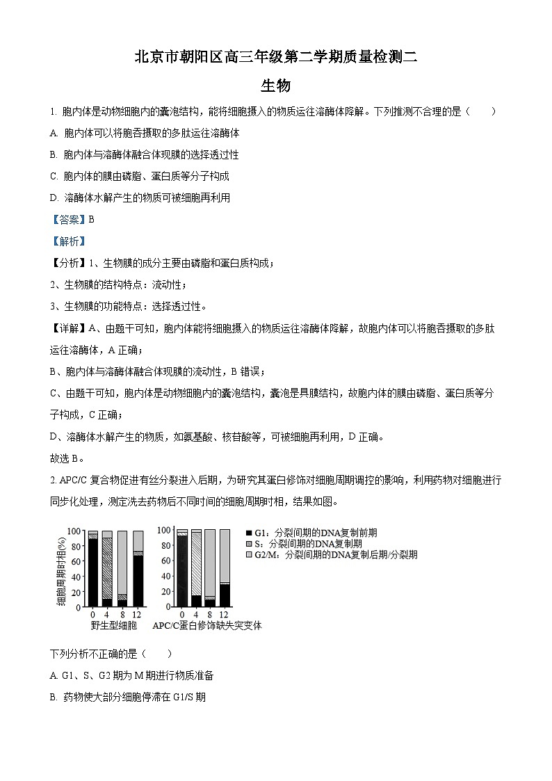 北京市朝阳区2023届高三生物二模试题（Word版附解析）第1页