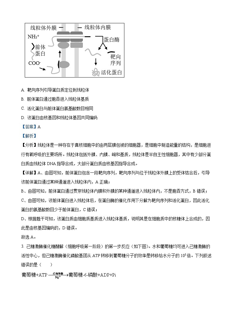 北京市西城区2023届高三生物二模试题（Word版附解析）第2页