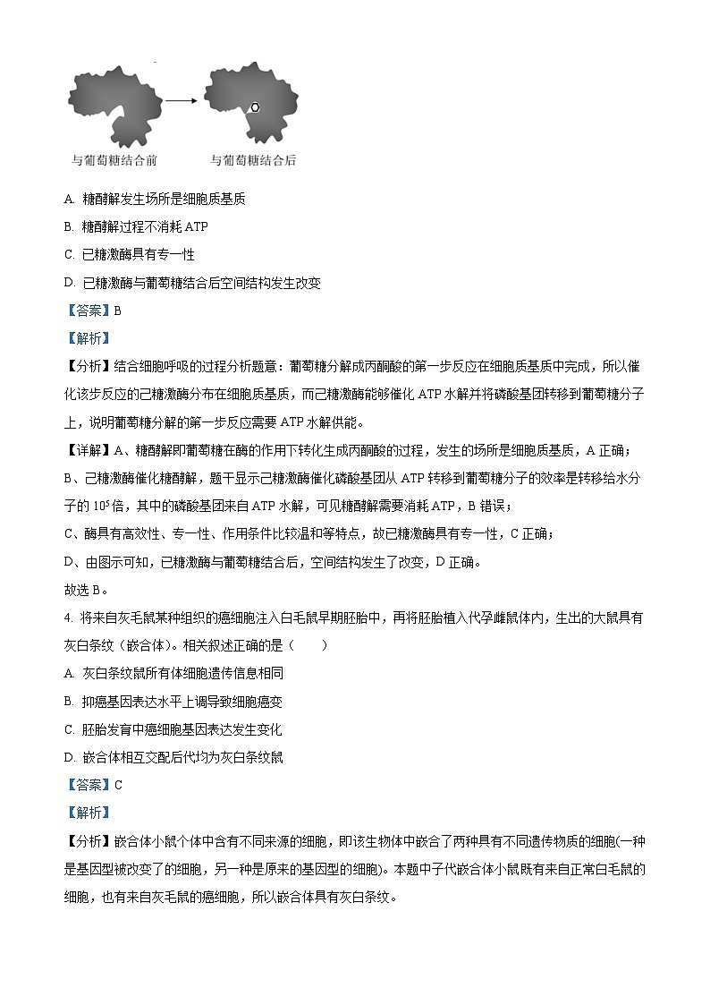北京市西城区2023届高三生物二模试题（Word版附解析）第3页