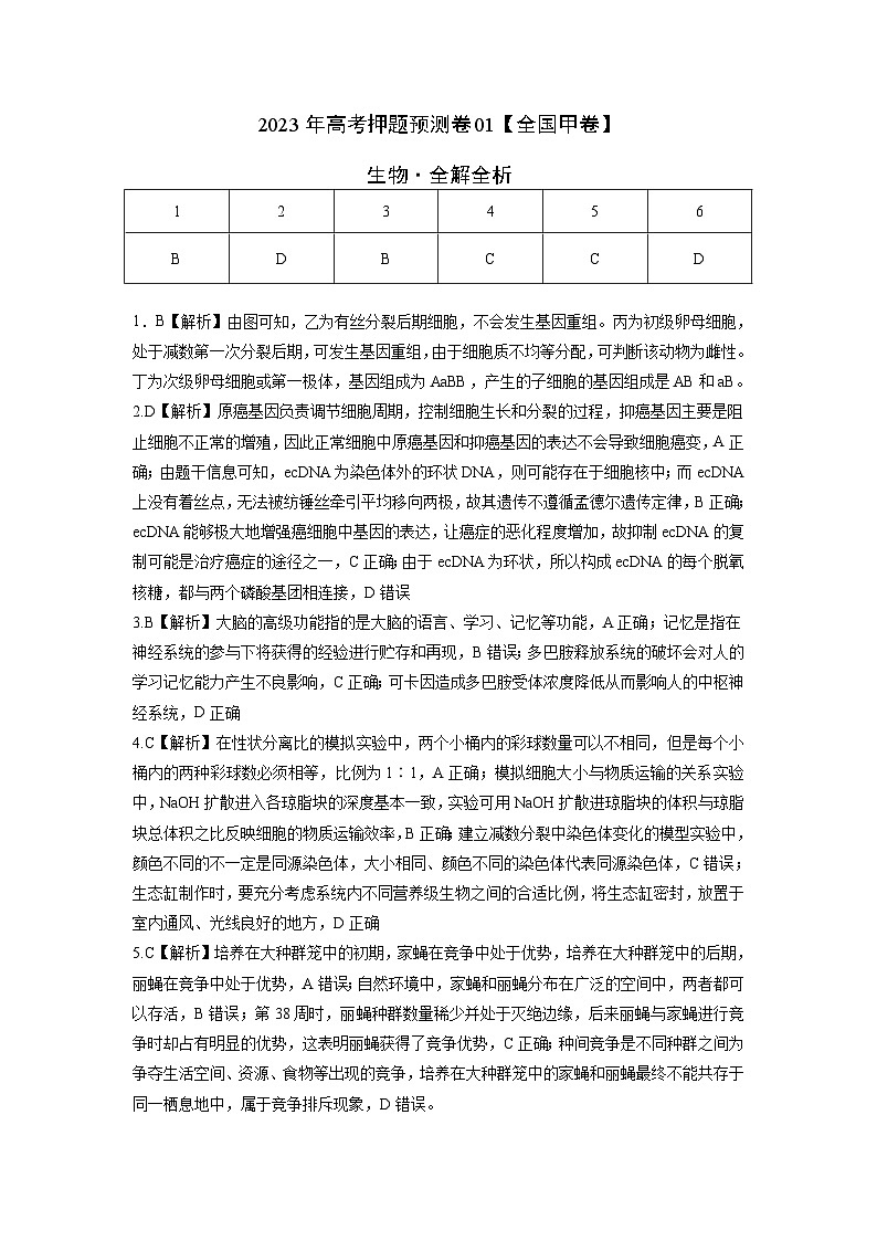 2023年高考生物押题卷01（全国甲卷）（全解全析）第1页