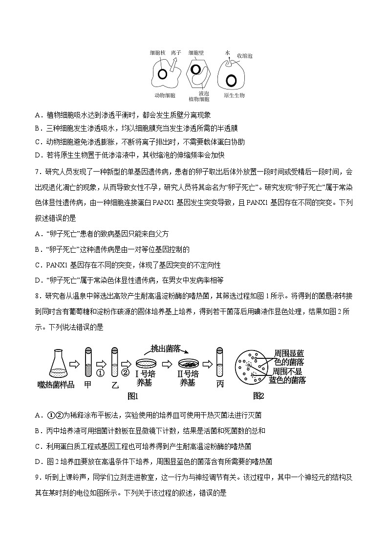 2023年高考生物押题卷01（广东卷）（考试版）A4第3页