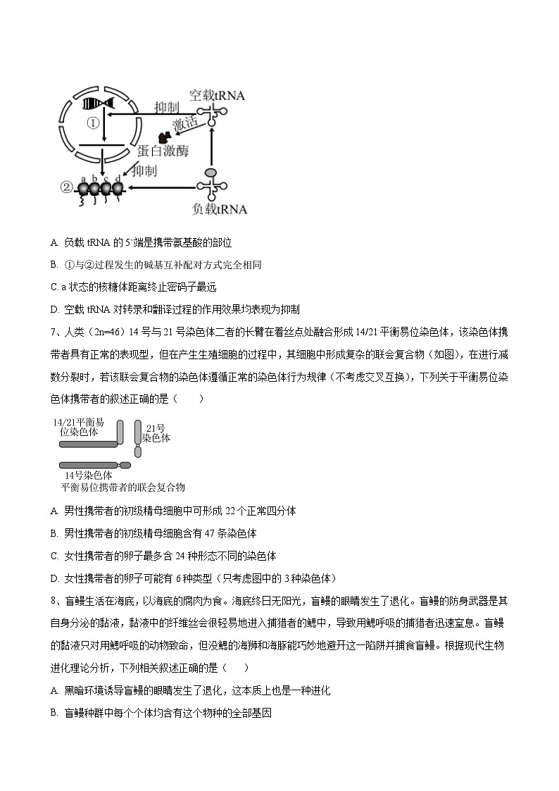 2023年高考生物押题卷01（江苏卷）（考试版）第3页