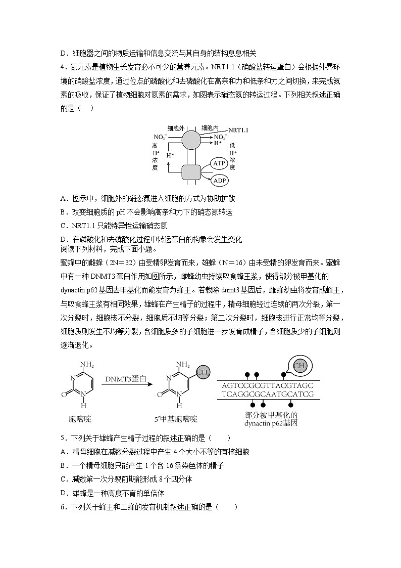 2023年高考生物押题卷01（考试版）第2页