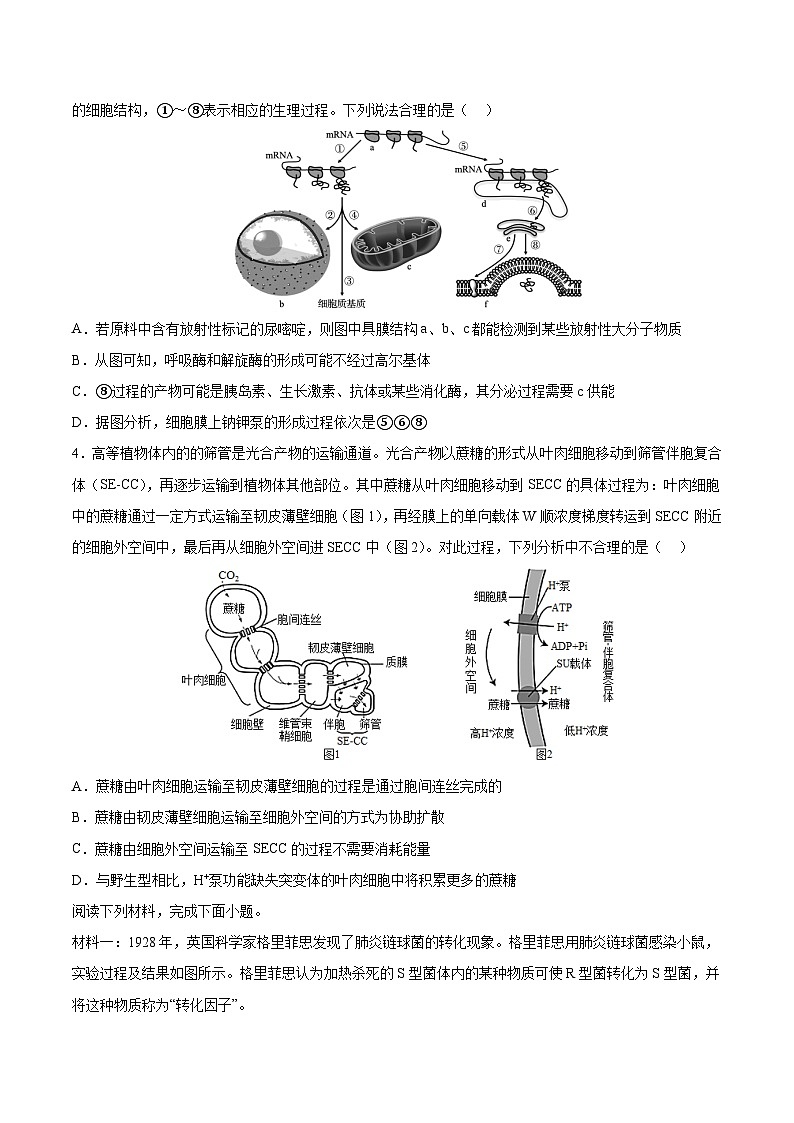 2023年高考生物押题卷03（考试版）第2页