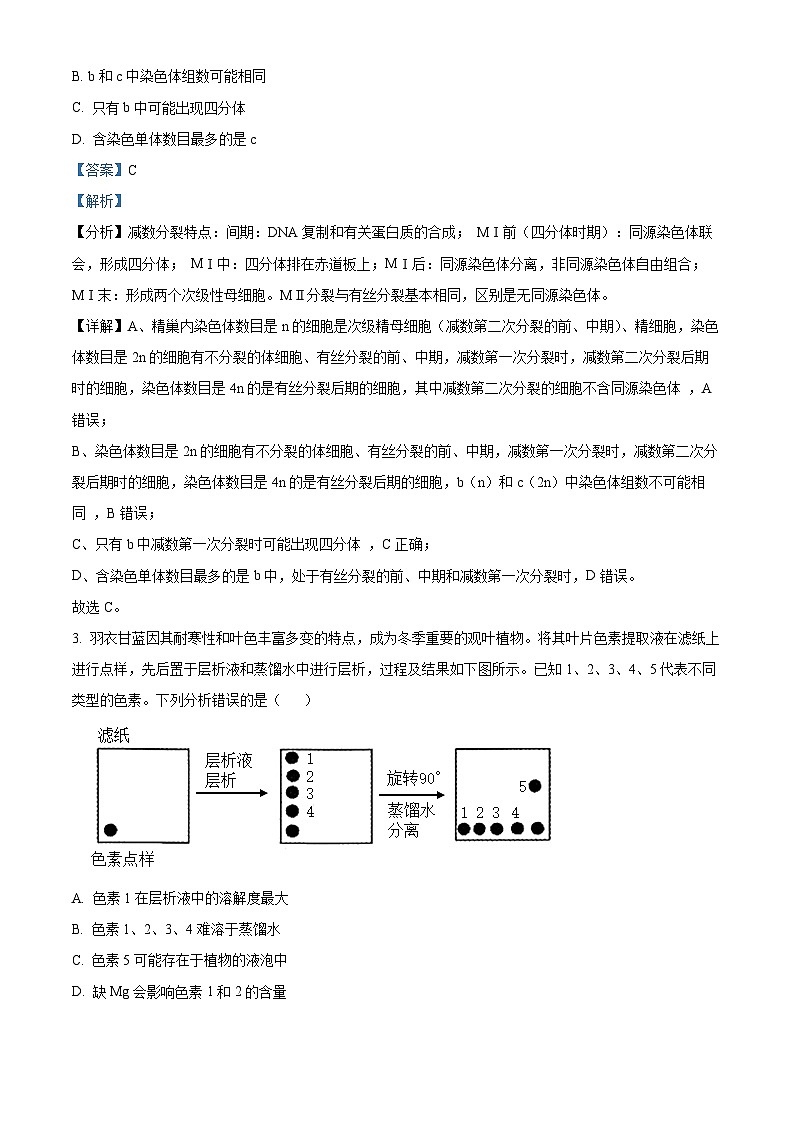 吉林省长春市东北师大附中2023届高三生物下学期三模试题（Word版附解析）第2页