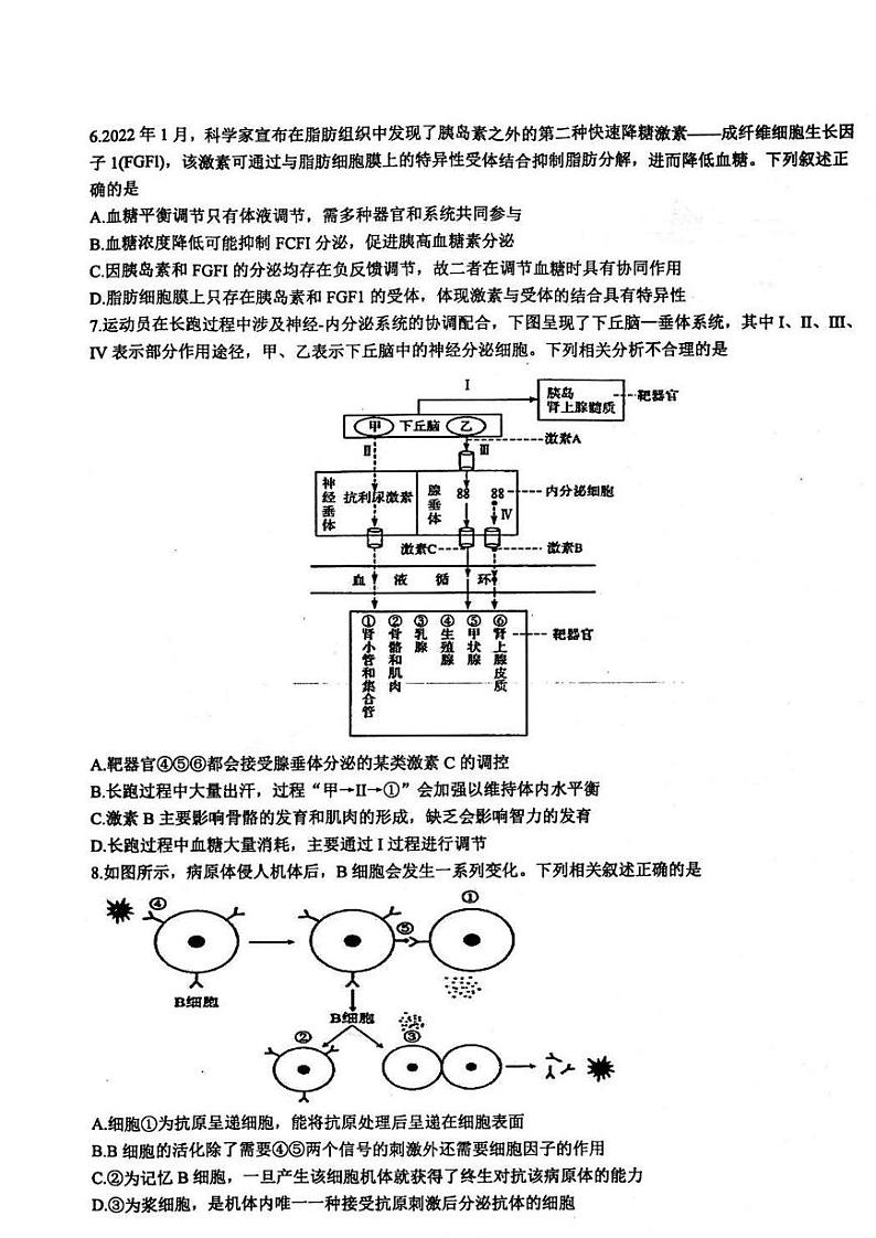 2022-2023学年江苏省扬州市高邮市高二上学期11月期中考试生物试题 PDF版第2页