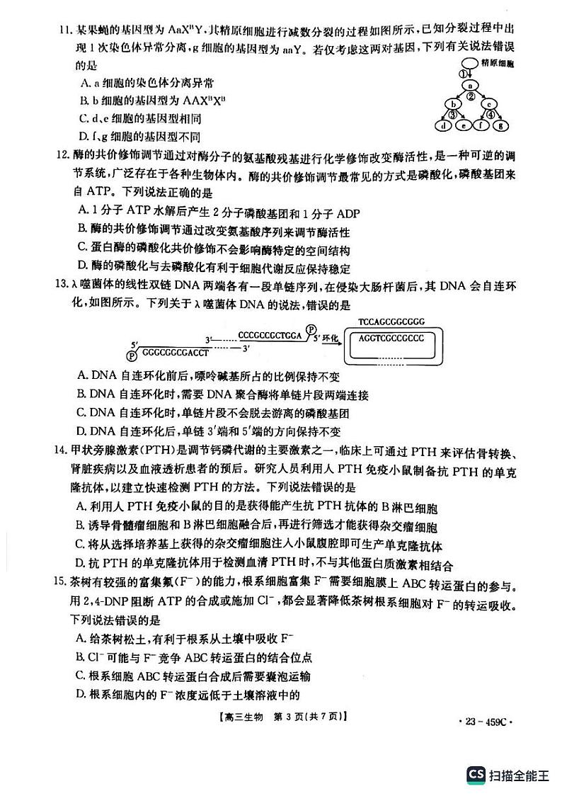 2023届辽宁省抚顺市重点高中六校协作体高三下学期二模联考生物试题03