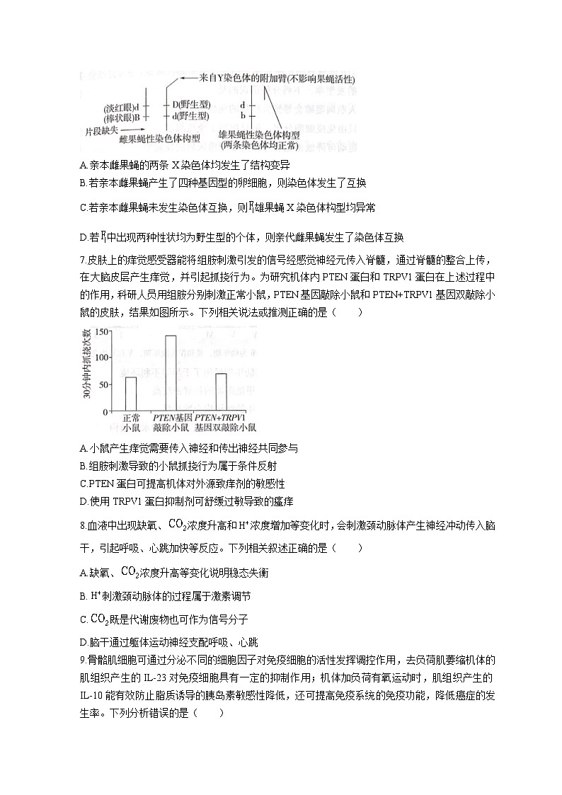 山东省实验中学2023届高三生物第一次模拟考试试题（Word版附答案）03