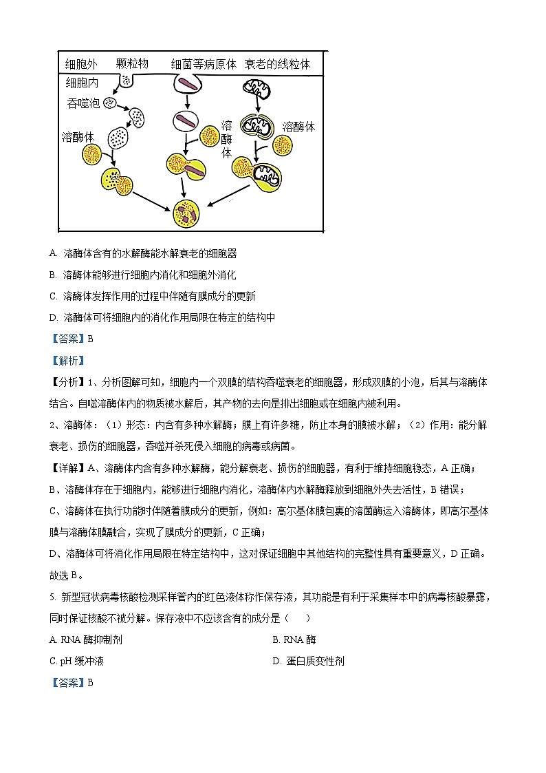 浙江省金丽衢十二校2022-2023学年高三生物上学期第一次联考试题（Word版附解析）03