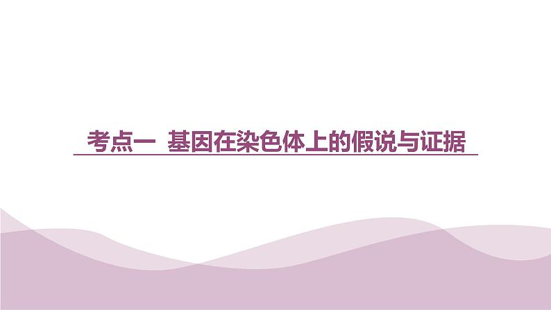 2023届高三一轮复习生物：基因在染色体上课件第1页