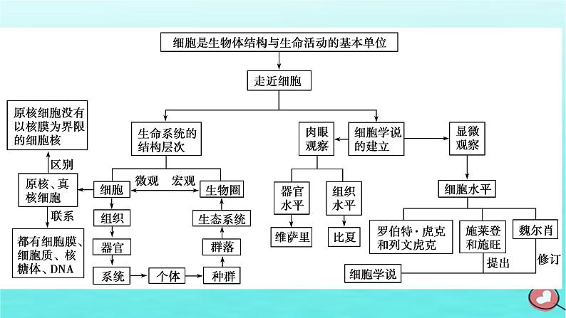 新教材2023年高中生物本章整合1第1章走近细胞课件新人教版必修105