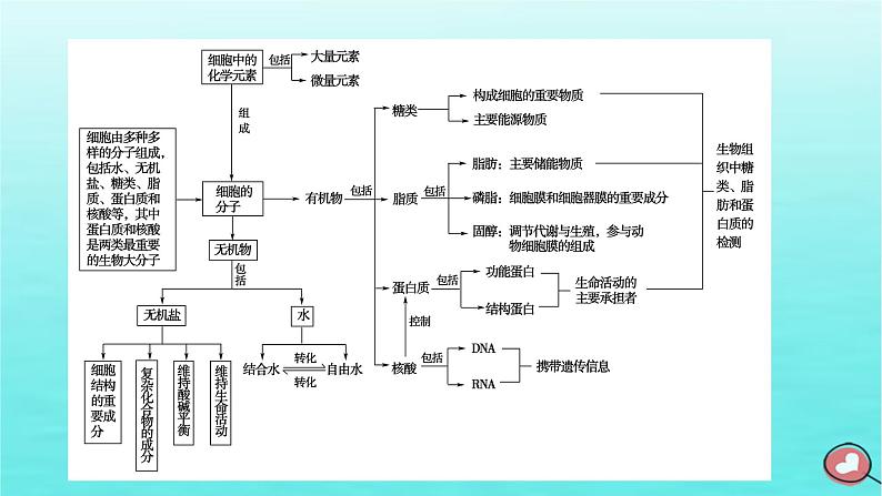 新教材2023年高中生物本章整合2第2章组成细胞的分子课件新人教版必修1第5页