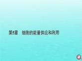 新教材2023年高中生物本章整合5第5章细胞的能量供应和利用课件新人教版必修1