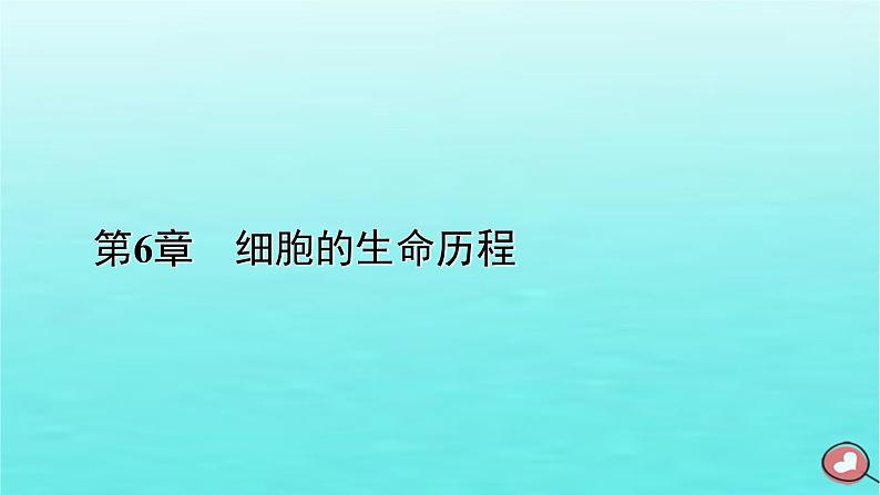 新教材2023年高中生物本章整合6第6章细胞的生命历程课件新人教版必修1第1页