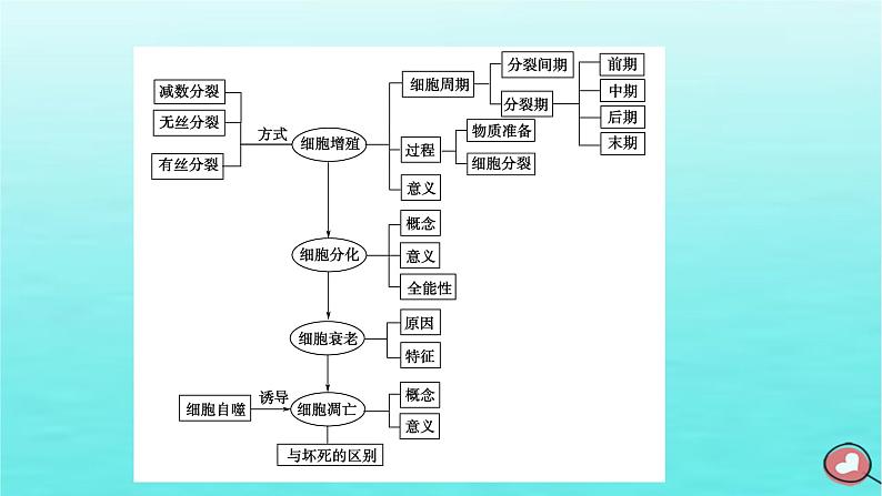 新教材2023年高中生物本章整合6第6章细胞的生命历程课件新人教版必修1第5页