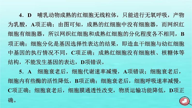 新教材2023年高中生物本章整合6第6章细胞的生命历程课件新人教版必修1第8页