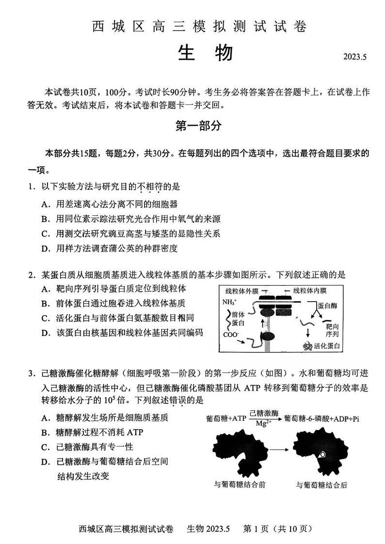北京市西城区2023届高三下学期二模生物试卷+答案01