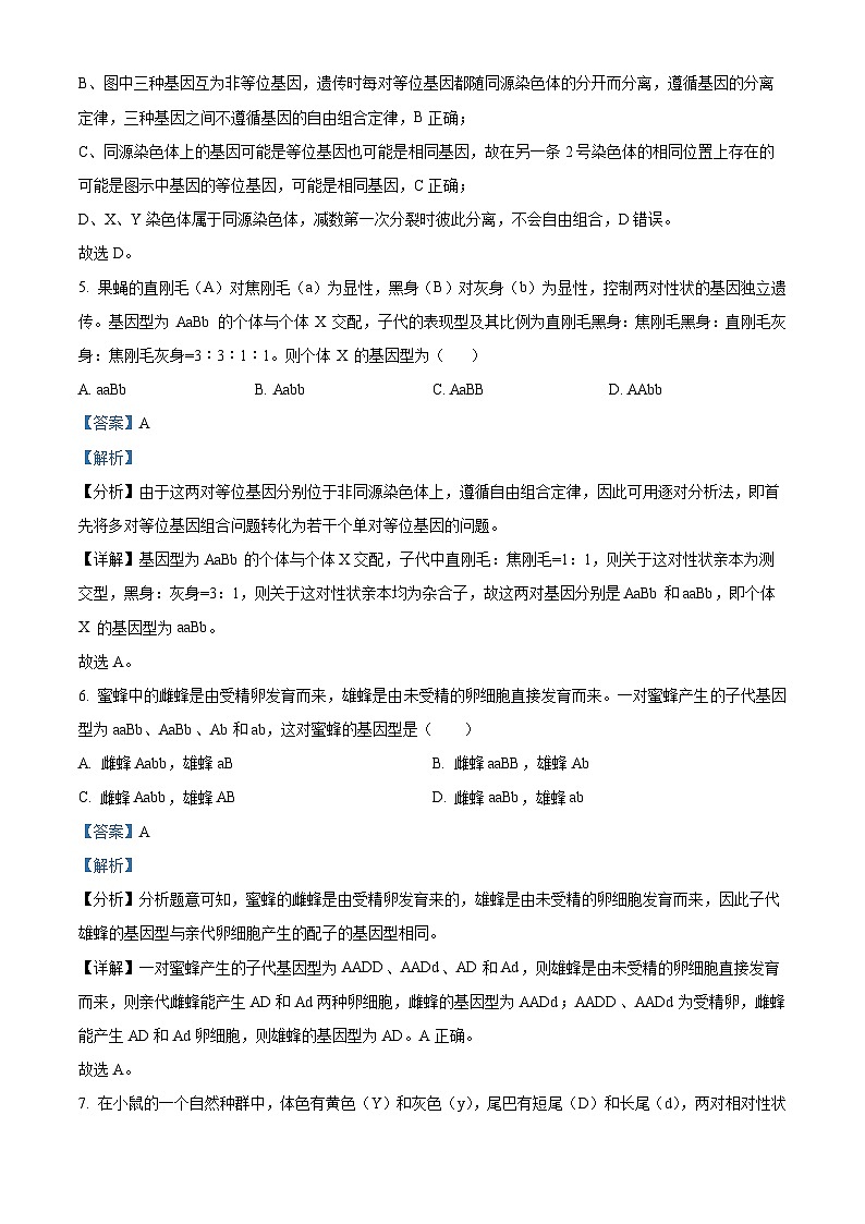 精品解析：陕西省西安市长安区一中2022-2023学年高二上学期期末生物试题（理科）（解析版）第3页