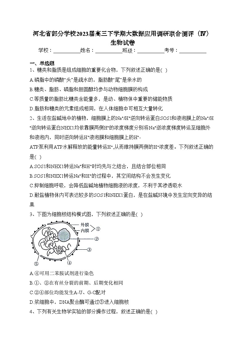 河北省部分学校2023届高三下学期大数据应用调研联合测评（Ⅳ）生物试卷（含答案）01