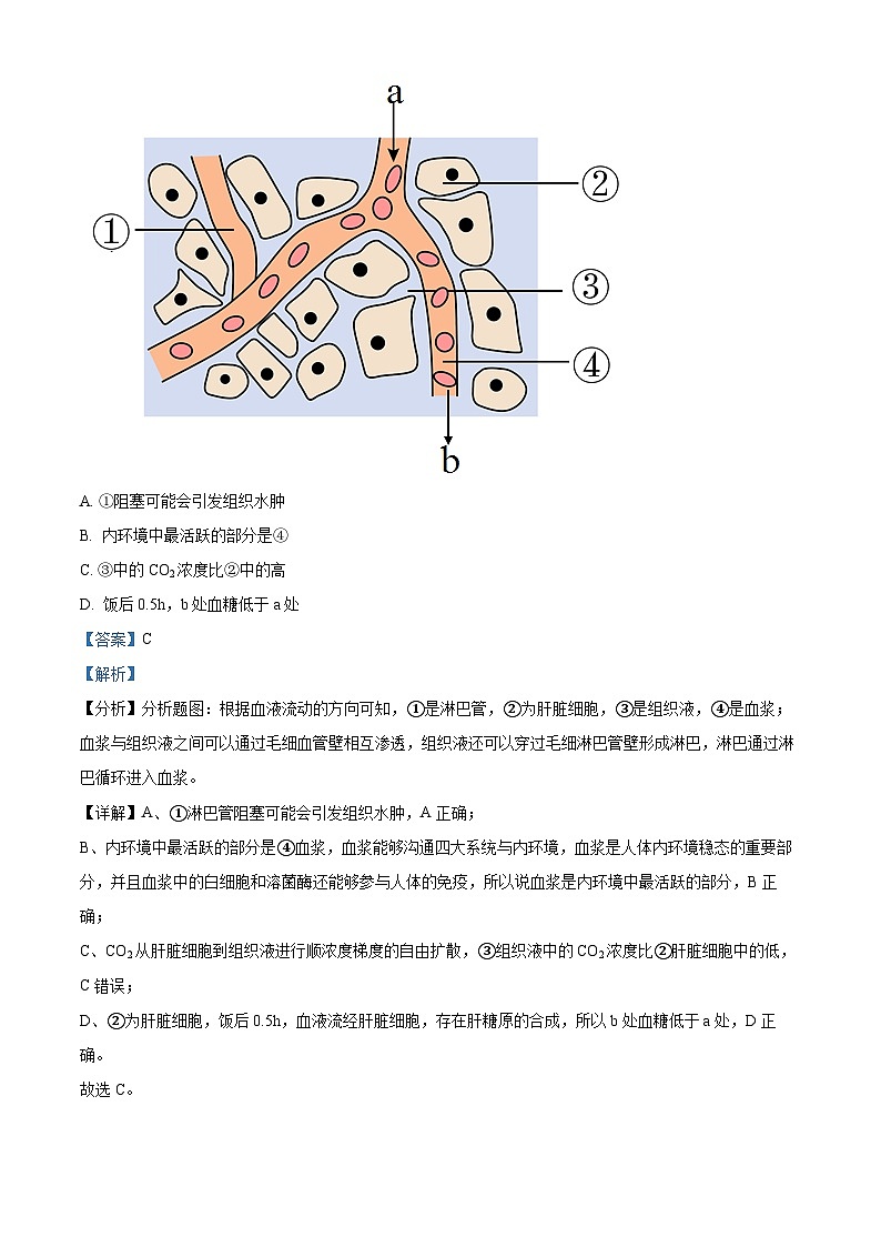 浙江省名校协作体2022-2023学年高二生物下学期月考联考试题（Word版附解析）03