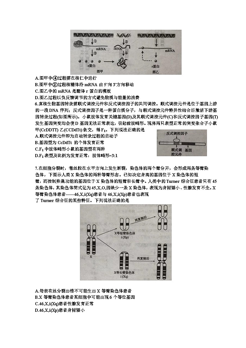 山东省滨州市2023届高三生物第二次模拟考试试题（Word版附答案）02