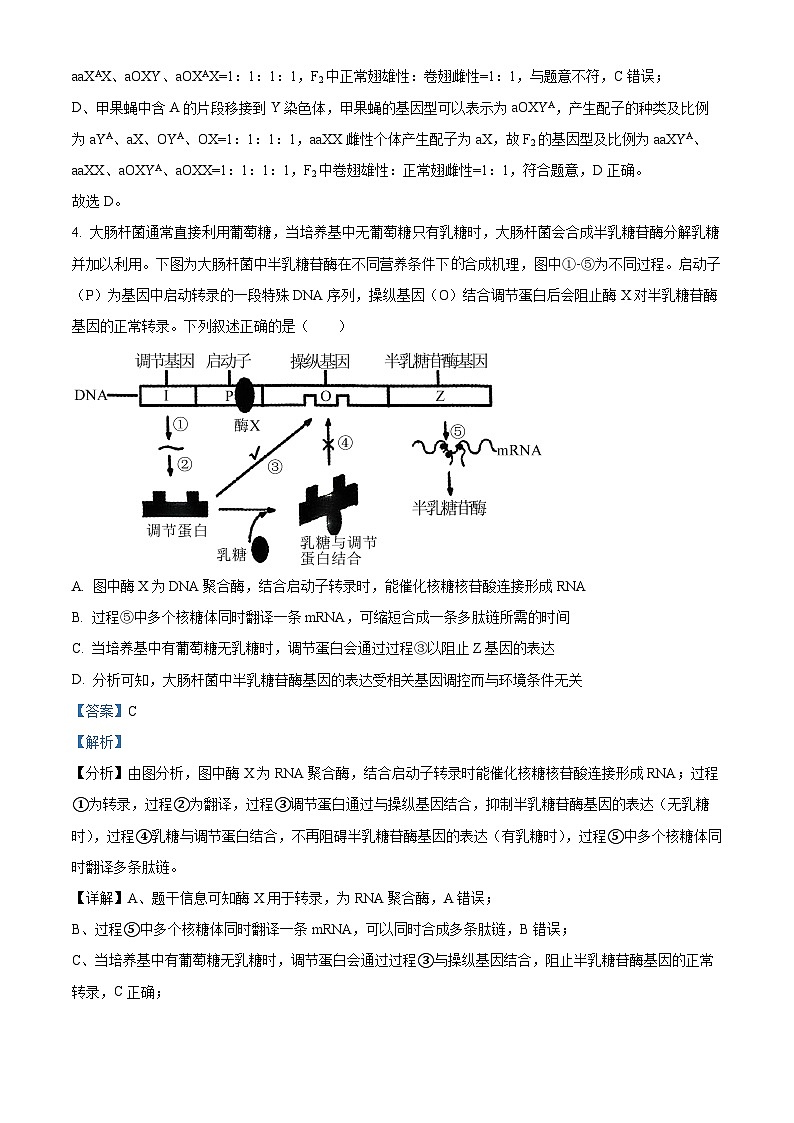 安徽省淮北市2022-2023学年高三生物下学期二模试题（Word版附解析）03
