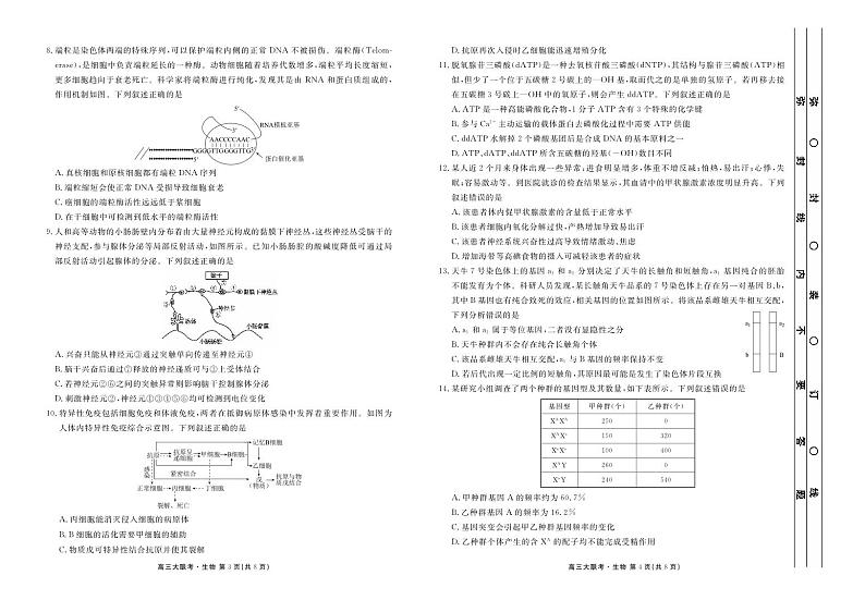 广东省衡水金卷2022-2023学年高三年级2月份大联考生物试题  PDF版无答案（可编辑）第2页