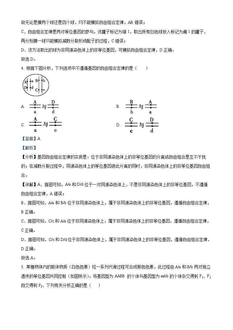 广东省江门市新会陈经纶中学2022-2023学年高一生物下学期期中考试试题（选考）（Word版附解析）第3页