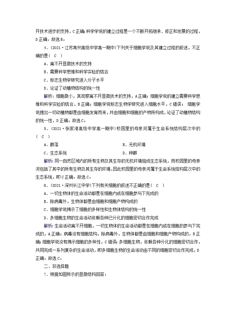 新教材2023年高中生物第1章走近细胞第1节细胞是生命活动的基本单位（课件+夯基提能作业）新人教版必修102