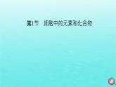 新教材2023年高中生物第2章组成细胞的分子第1节细胞中的元素和化合物（课件+夯基提能作业）新人教版必修1