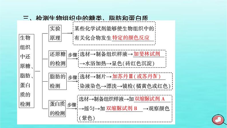 新教材2023年高中生物第2章组成细胞的分子第1节细胞中的元素和化合物（课件+夯基提能作业）新人教版必修108