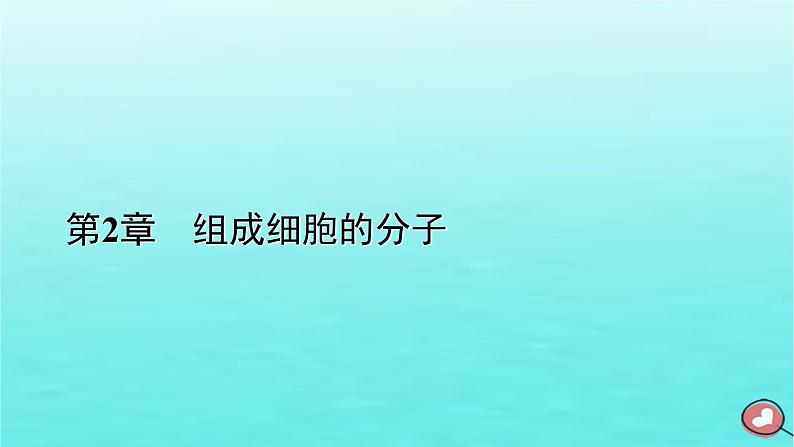 新教材2023年高中生物第2章组成细胞的分子第4节蛋白质是生命活动的主要承担者（课件+夯基提能作业）新人教版必修101