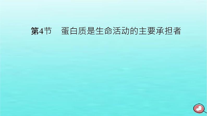 新教材2023年高中生物第2章组成细胞的分子第4节蛋白质是生命活动的主要承担者（课件+夯基提能作业）新人教版必修102