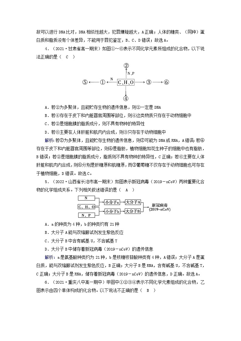 新教材2023年高中生物第2章组成细胞的分子第5节核酸是遗传信息的携带者（课件+夯基提能作业）新人教版必修102