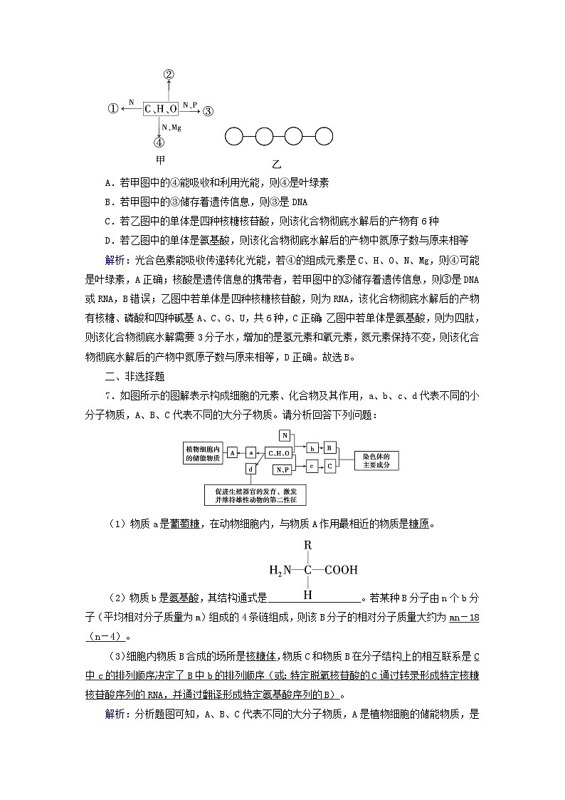 新教材2023年高中生物第2章组成细胞的分子第5节核酸是遗传信息的携带者（课件+夯基提能作业）新人教版必修103