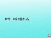 新教材2023年高中生物第3章细胞的基本结构第2节细胞器之间的分工合作（课件+夯基提能作业）新人教版必修1