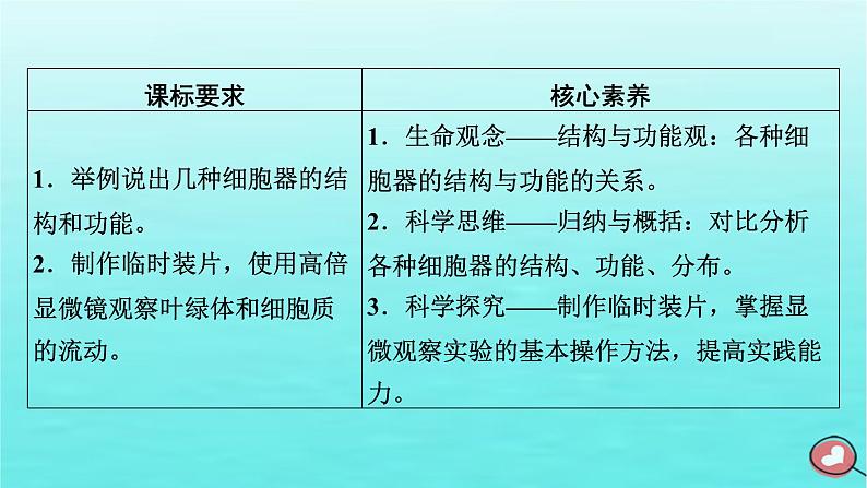 新教材2023年高中生物第3章细胞的基本结构第2节细胞器之间的分工合作（课件+夯基提能作业）新人教版必修103