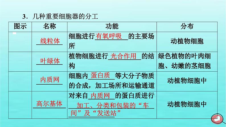 新教材2023年高中生物第3章细胞的基本结构第2节细胞器之间的分工合作（课件+夯基提能作业）新人教版必修107