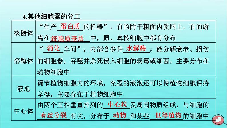 新教材2023年高中生物第3章细胞的基本结构第2节细胞器之间的分工合作（课件+夯基提能作业）新人教版必修108